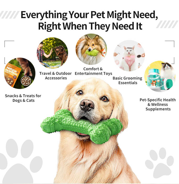 Pet vending machine stocked with comfort items, travel gear, outdoor toys, and a variety of snacks and treats for dogs and cats