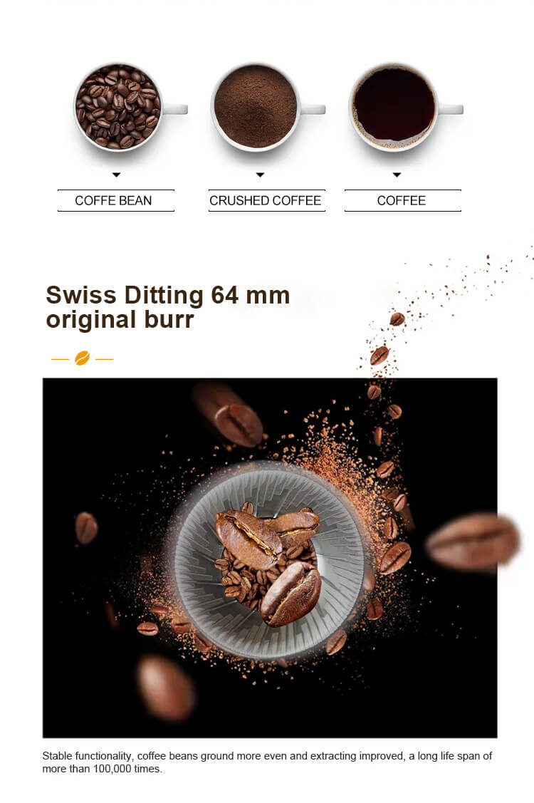 Swiss Ditting 64mm original burr grinder in TCN coffee machine for even grinding and over 100,000 cycles lifespan