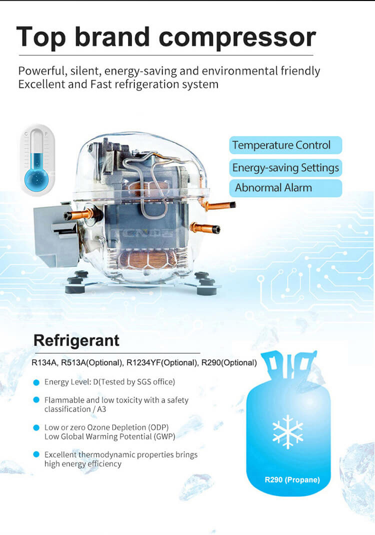 Energy-efficient refrigeration system with top-brand components and eco-friendly R290 refrigerant for precise temperature control